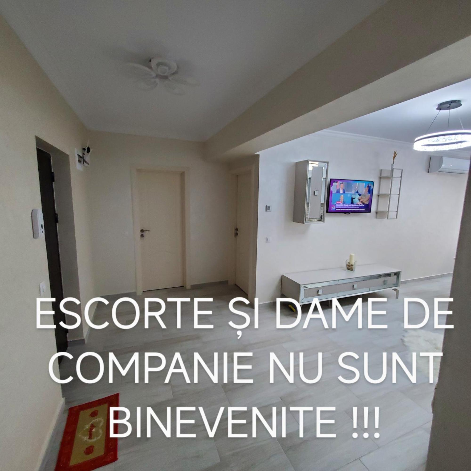 Luxury Apartament Bacovia Bacau Exterior photo